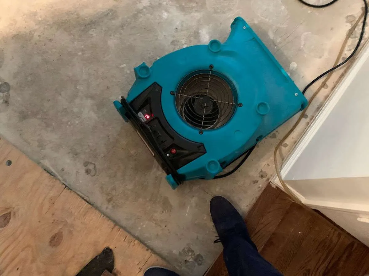 Air mover drying subfloor during Leak Detection & Repair in New Fairfield